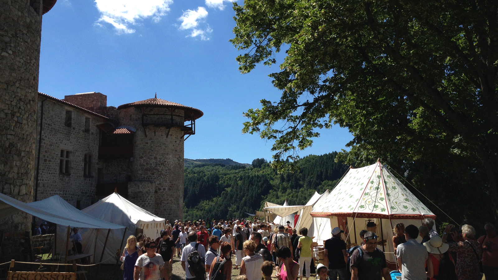 The Medieval Festival