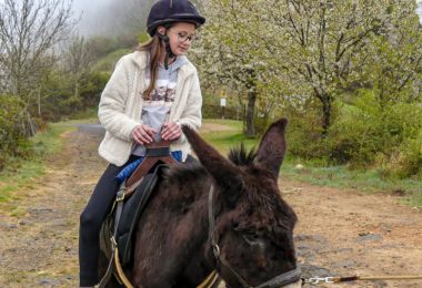 A day to have fun with your family!