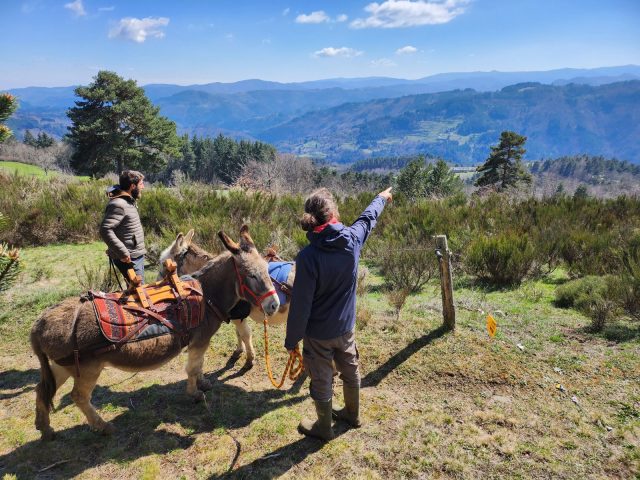 Hiking with a donkey: summer escapes_Saint Julien d’Intres