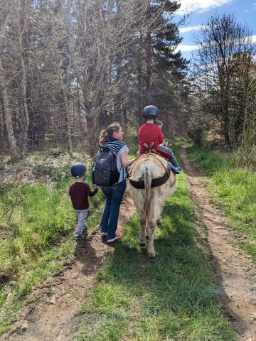 Hiking with a donkey: summer escapes_Saint Julien d’Intres