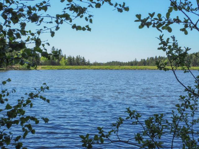 The Snack du Lac_Devesset