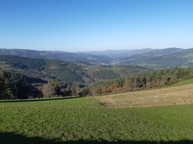 31338302-diaporama