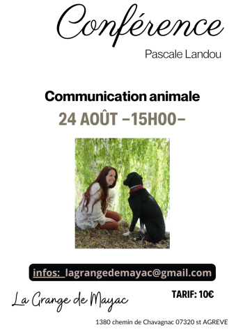 31842890-diaporama