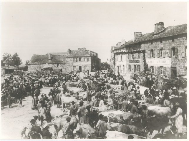 32328556-diaporama