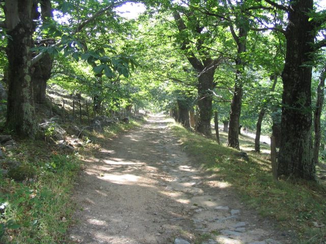 32681575-diaporama