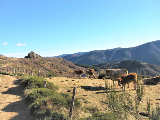 32706490-diaporama