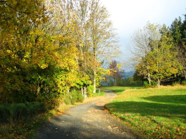 32706961-diaporama