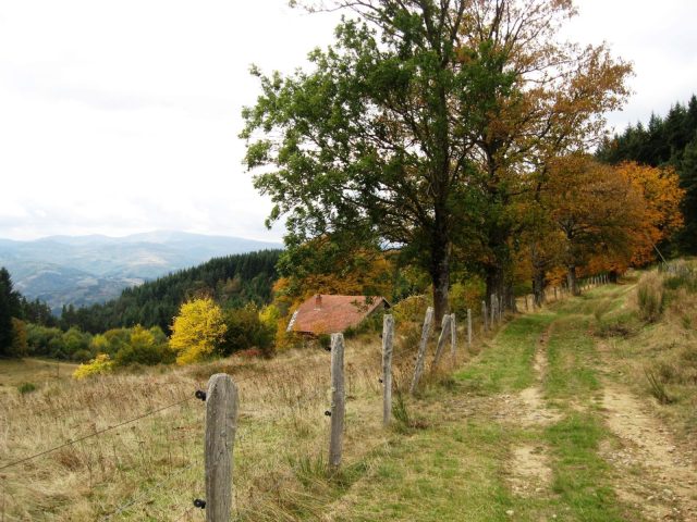 32728349-diaporama