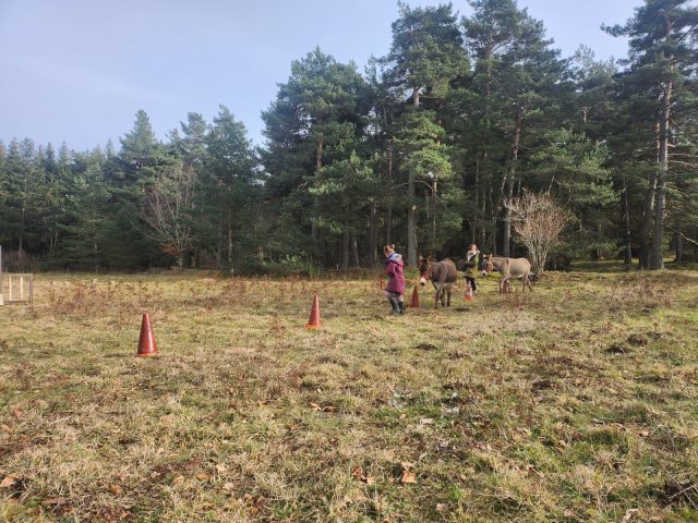 Treasure hunt with a donkey_Saint Julien d’Intres