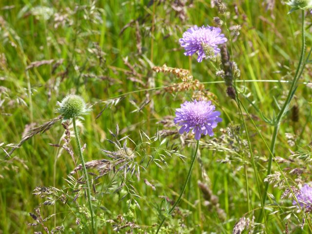Distillery Tours_Désaignes
