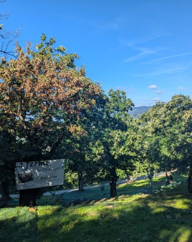La ferme du châtaignier