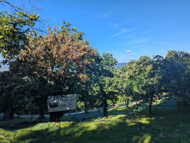 La ferme du châtaignier_Lamastre
