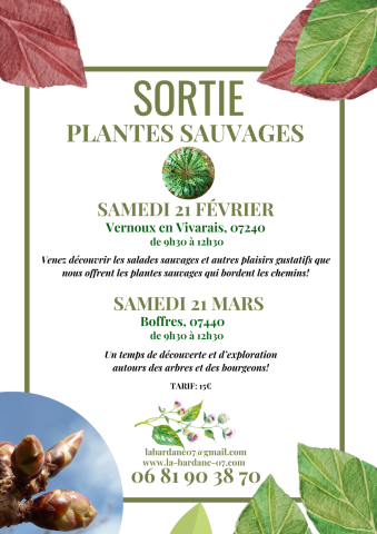 Sortie nature “À la découverte des plantes sauvages”_Vernoux-en-Vivarais