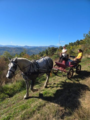 Randonner avec les Anes des Monts d’Ardèche_Saint Julien d’Intres