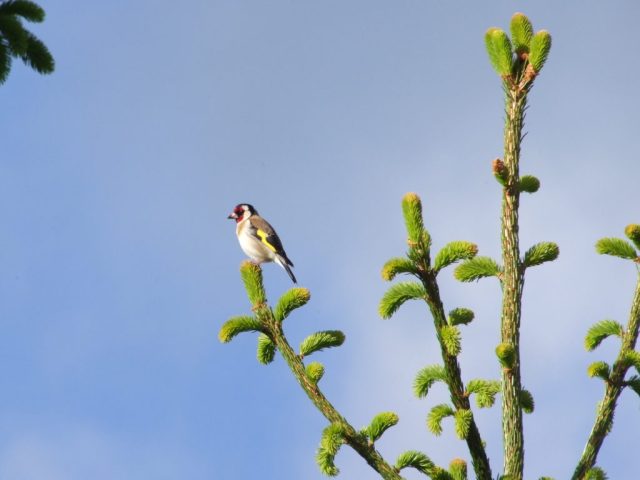 9901637-diaporama